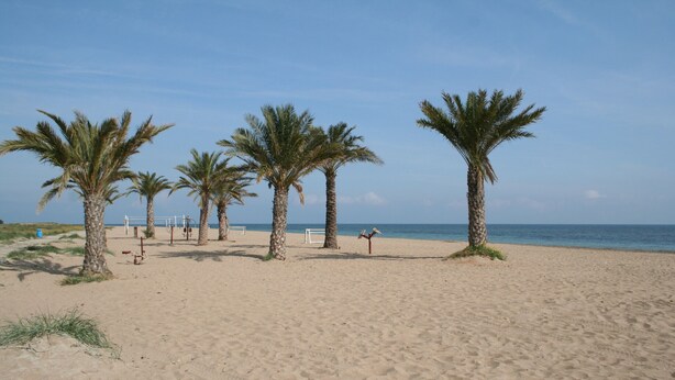 Een zandstrand met palmbomen en een helderblauwe lucht.