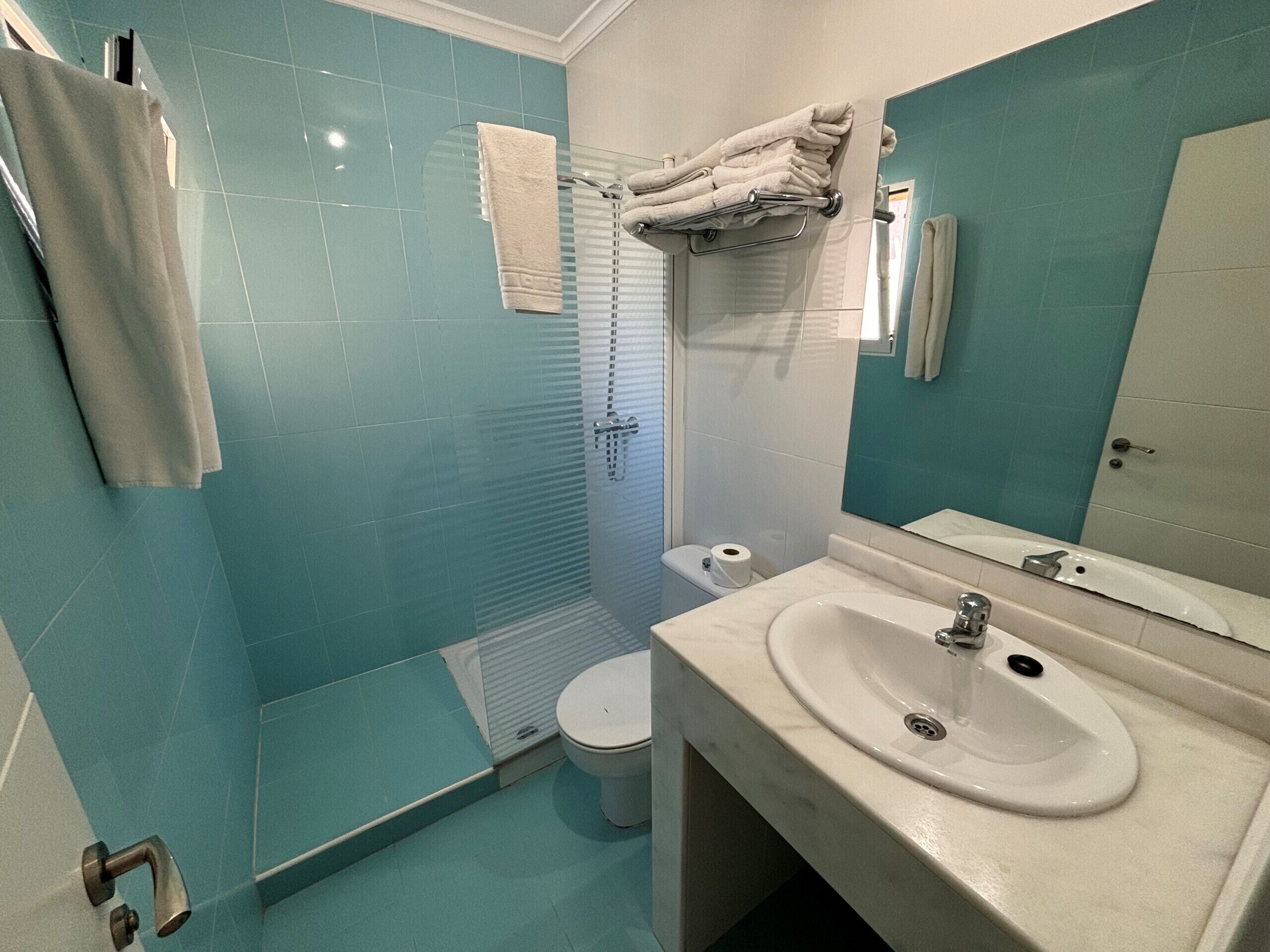 Een badkamer met een douchecabine van glas, een toilet en een wastafel met spiegel.