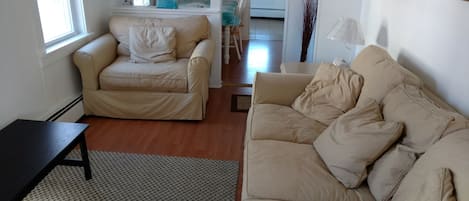 TV, DVD player, books