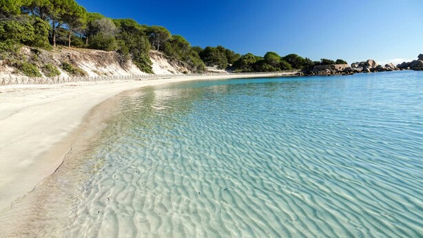 A beach with clear shallow waters, sandy shore, and trees in the background.