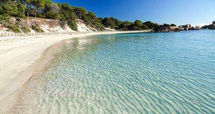 Villa climatisée Spa de nage chauffé privé wifi