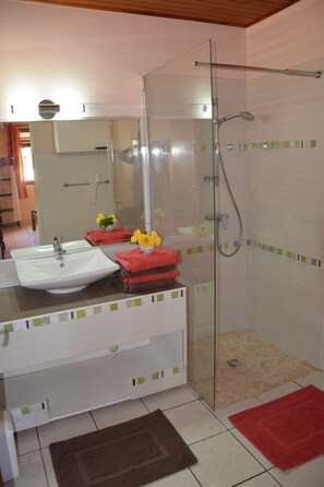Douche, sèche-cheveux, serviettes fournies, papier toilette