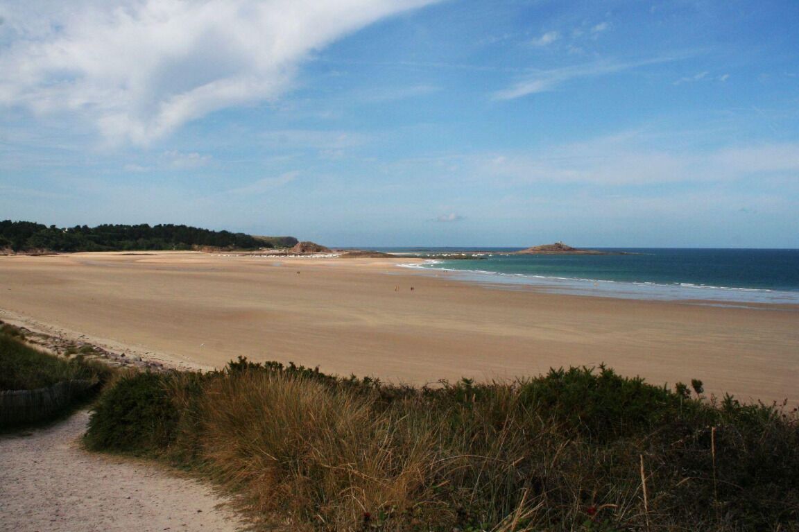 Una playa costera con cielo despejado, orilla de arena y vegetación al frente.