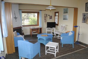 TV, fireplace, books