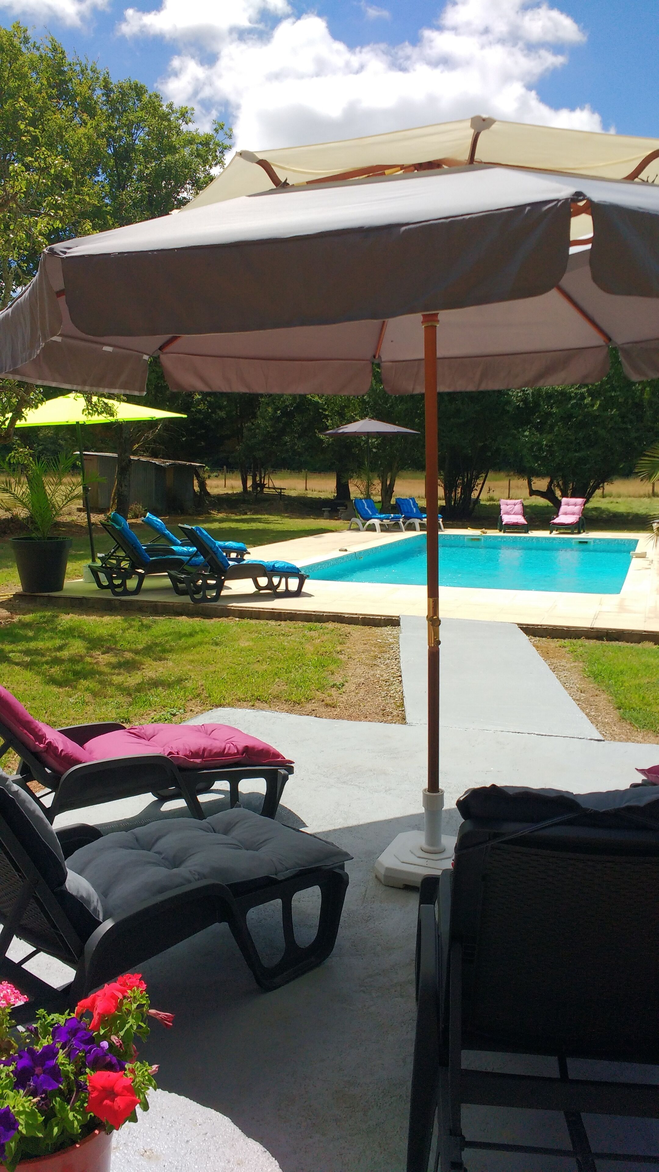 A backyard with a swimming pool, lounge chairs, and an umbrella.