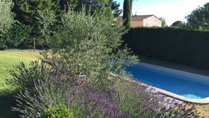 Une piscine entourée d’une végétation luxuriante et d’une pelouse bien entretenue.