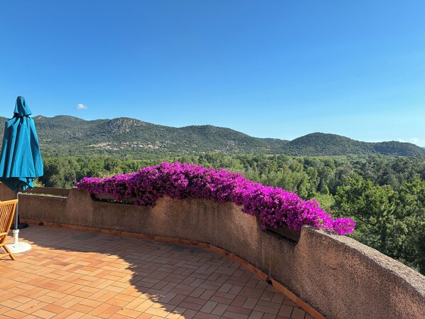 Une terrasse offrant une vue sur des collines verdoyantes, un parasol bleu et des fleurs violettes.