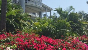 Un jardin agrémenté de fleurs roses et blanches aux couleurs vives, de palmiers et, au fond, d’un bâtiment doté d’un balcon.