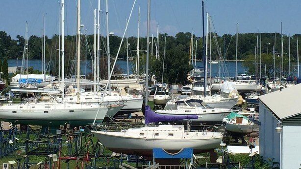 A marina with multiple sailboats docked.