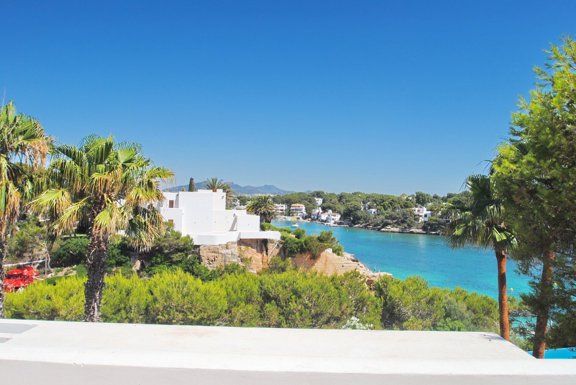 A coastal view with white buildings, palm trees, and a clear blue sea.