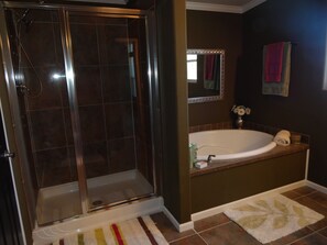 Combined shower/tub, hair dryer, towels