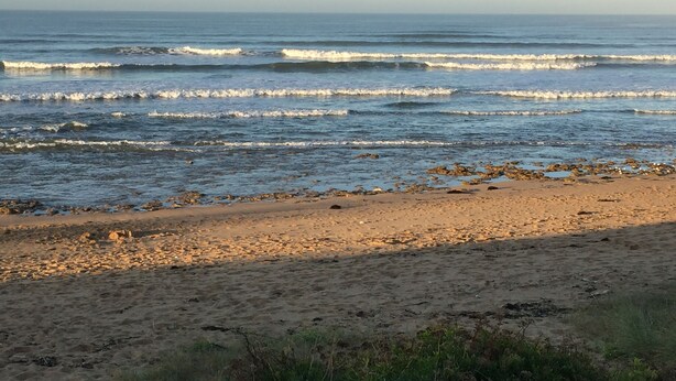 A beach with waves, pebbles, and sparse vegetation. - House near La Cotinière -WIFI -heated pool -classified 4* Charente Tourisme (Saint-Pierre-d'Oléron)