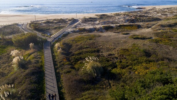 Un paseo marítimo que conduce a una playa con vistas despejadas al océano.