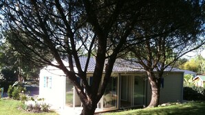 Uma casa com uma grande árvore em frente, varanda coberta e garagem.