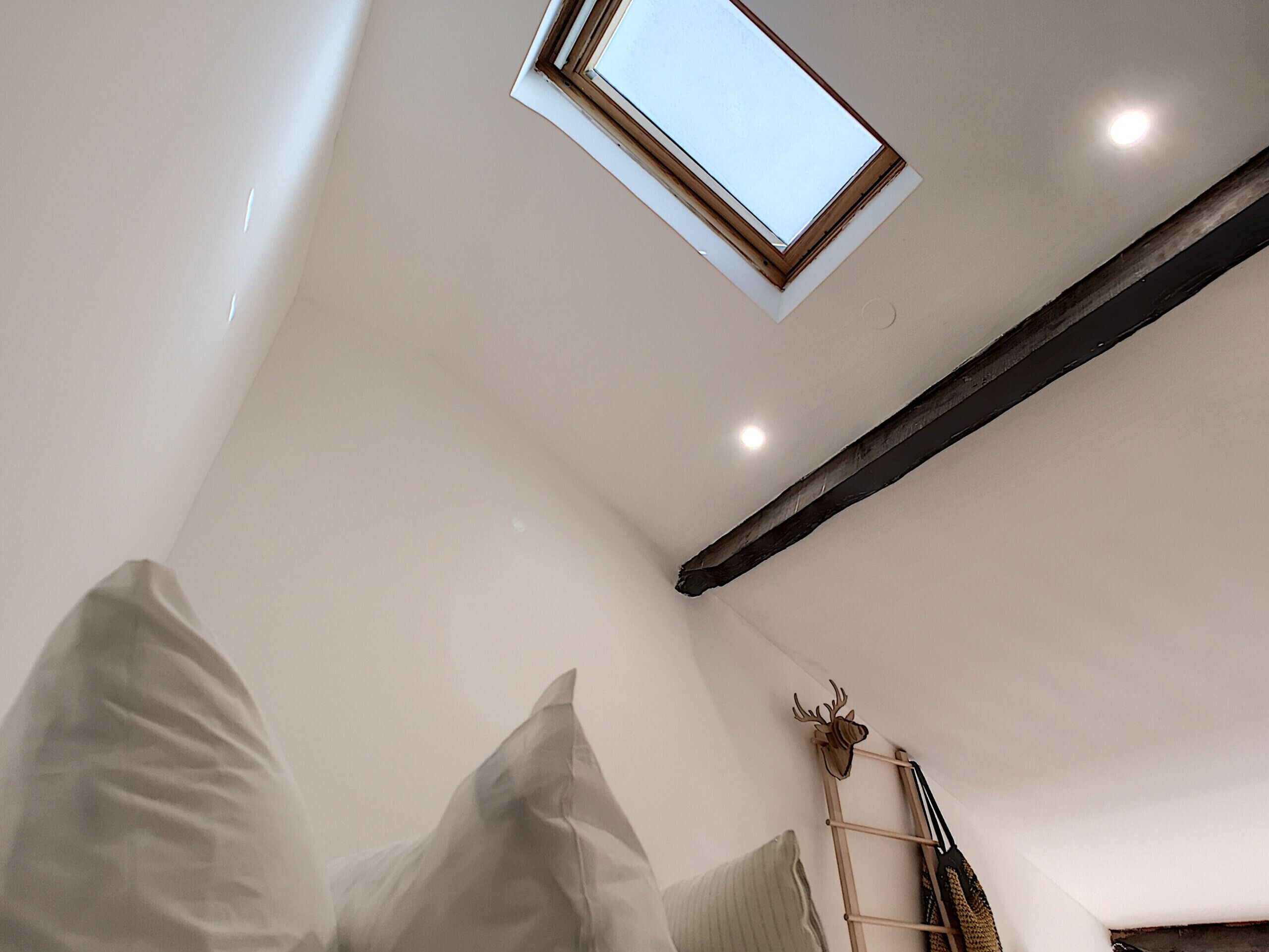 A room with a skylight, a ladder, and a headboard.