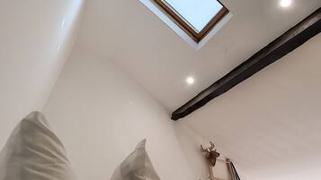 A room with a skylight, a ladder, and a headboard.