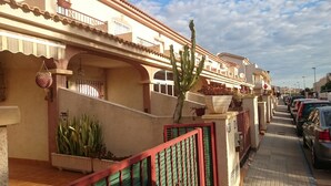 A residential street with a row of parked cars, a cactus, and a potted plant on the sidewalk.