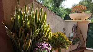 A tiled patio with various potted plants, including a large snake plant and pink flowers, against a textured wall.