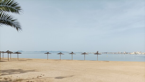 A beach with a row of thatched umbrellas and a palm tree.