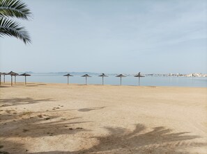 Ein Strand mit einer Reihe von Reetsonnenstühlen und einer Palme.