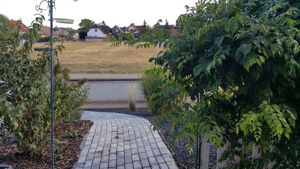 Un sendero pavimentado que conduce a una zona residencial con casas al fondo.