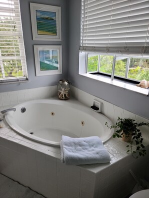 Une salle de bain avec une baignoire sur pieds, une fenêtre avec des stores et une plante en pot.