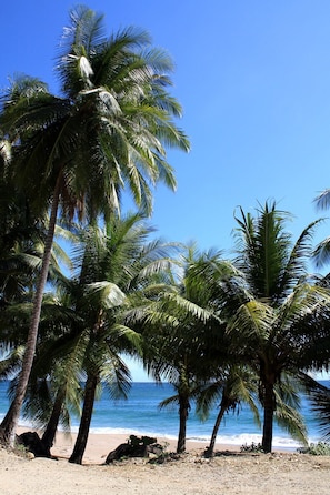 Plage à proximité