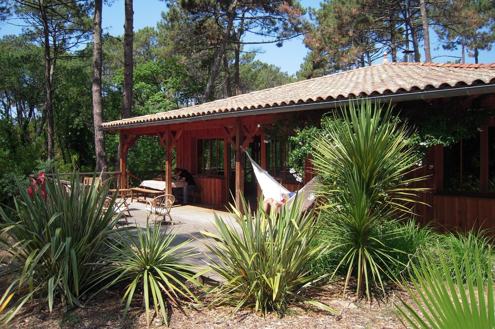 Wooden villa in Cap Ferret in the pines - close to the ocean - not overlooked