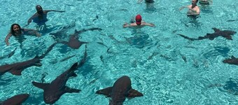 Charmant Cottage Sanddollar confortable