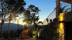Un chemin pavé mène à un escalier doté d’une rampe, entouré d’arbres et de plantes, et un mur de pierre est agrémenté d’un luminaire.