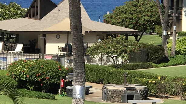 A house with a view of the ocean, a patio with a table and chairs, and a lawn with a palm tree. - Affordable Paradise  (Kihei)
