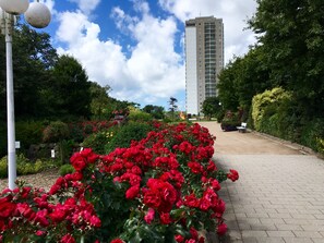 Parco della struttura