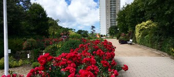 Just behind the dike at the Pearl Bay, 'WLAN', close to the center in Büsum am Kurpark
