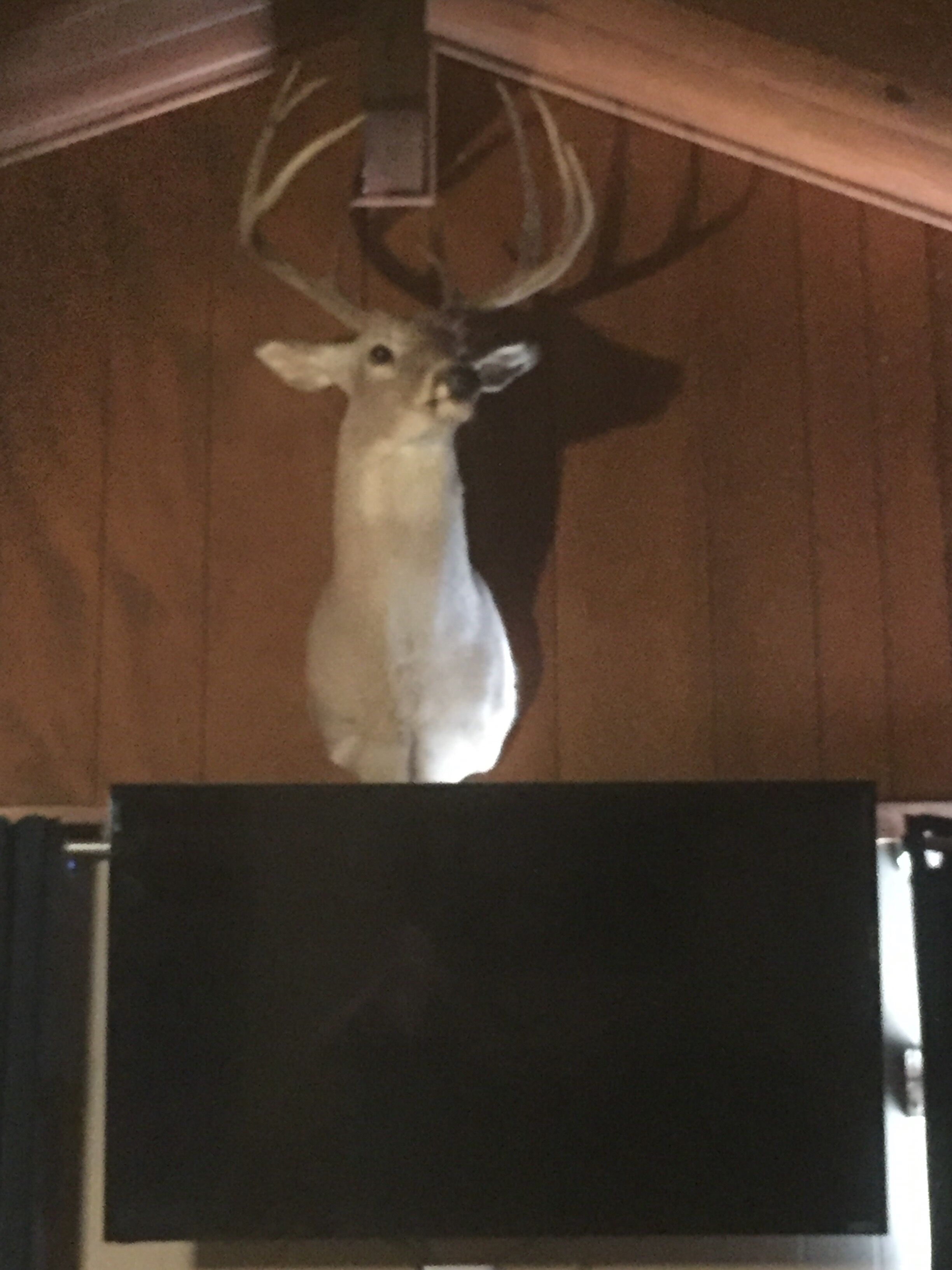 Lake View  ,(Swimming Pool(may be shared ) Lake access , O/D kitchen Sleeps 6