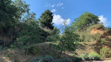 Área da propriedade
