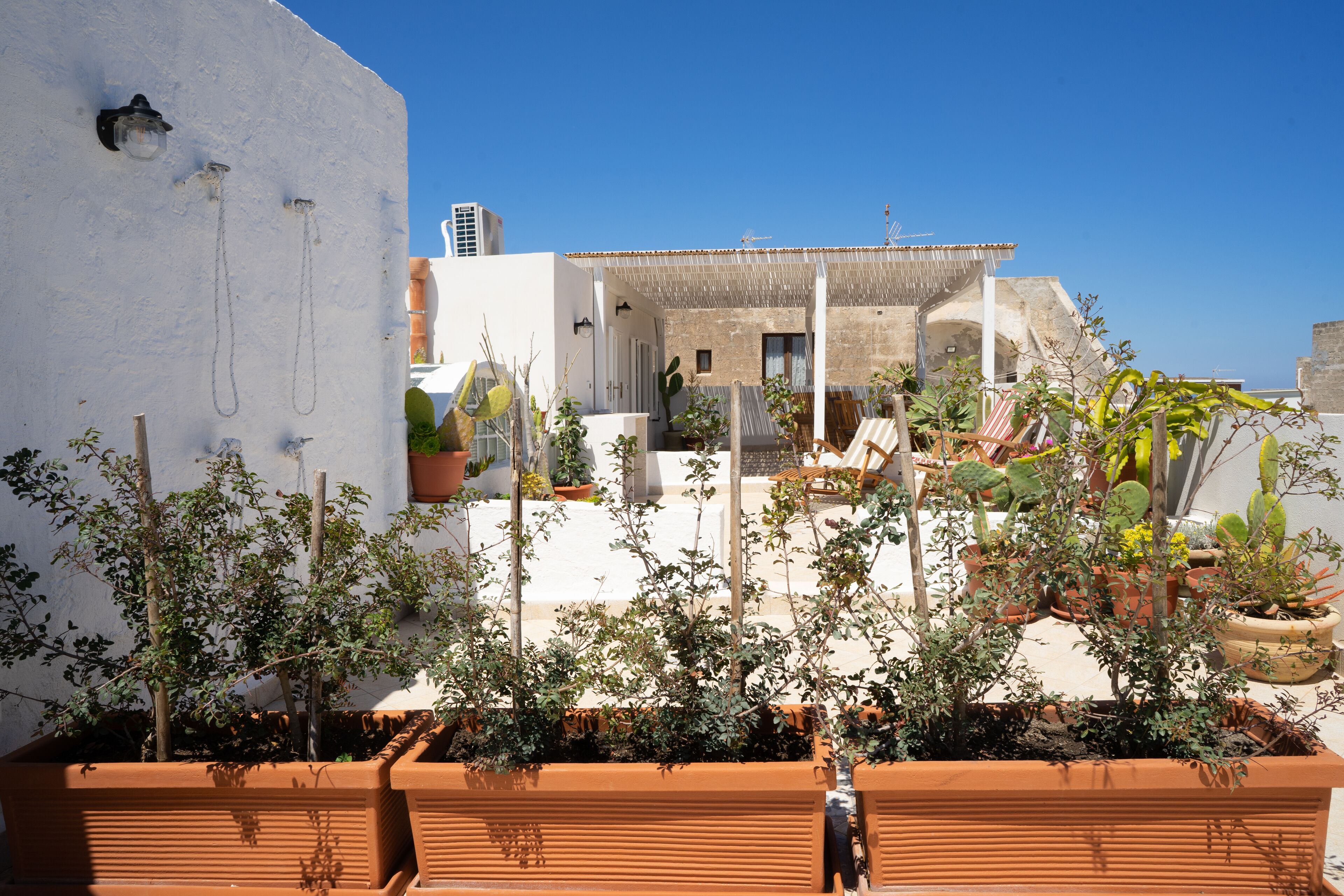 Parco della struttura