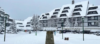 Kopaonik Exit Apartments