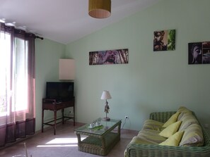 TV, table tennis, books