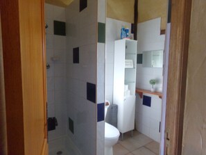 Ein Badezimmer mit Dusche, Toilette und einem weißen Schrank mit Spiegel.