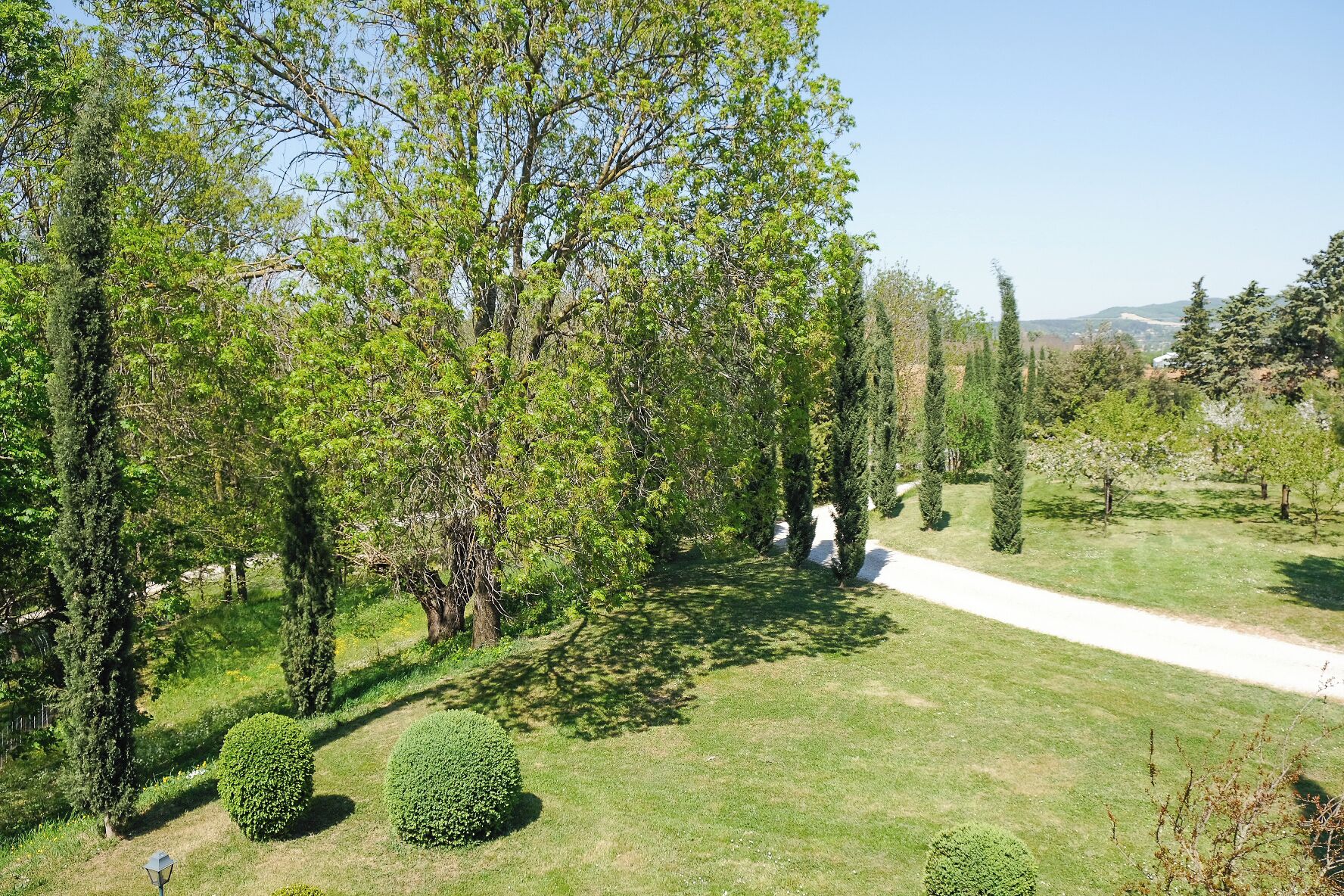 Un jardín bien cuidado con diversidad de árboles y arbustos podados, un sendero despejado y una vista distante de colinas.