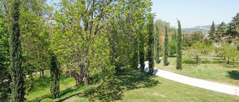 Un jardín bien cuidado con diversidad de árboles y arbustos podados, un sendero despejado y una vista distante de colinas.