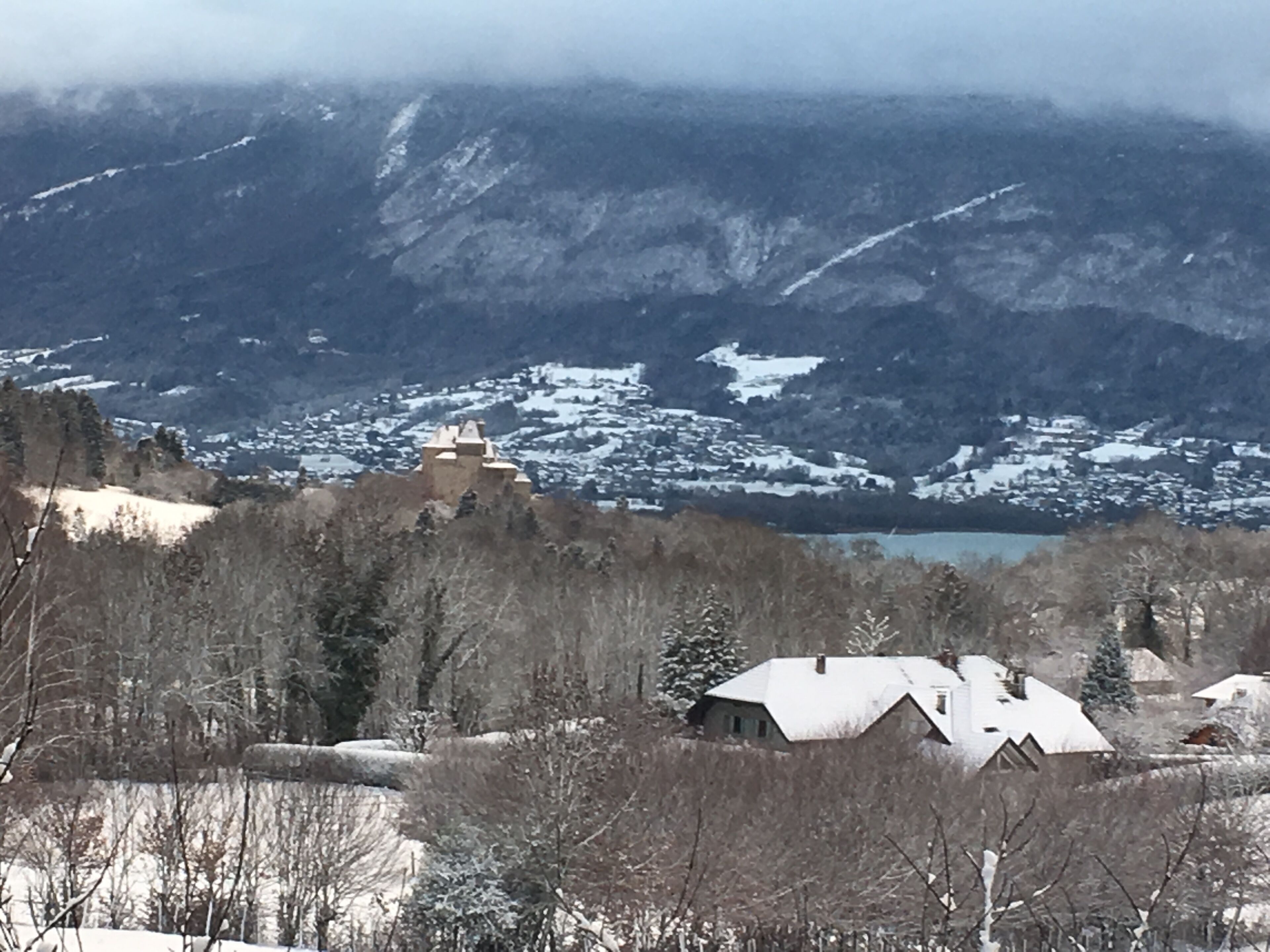 the Bluffy bear cabin Annecy between lake and mountains