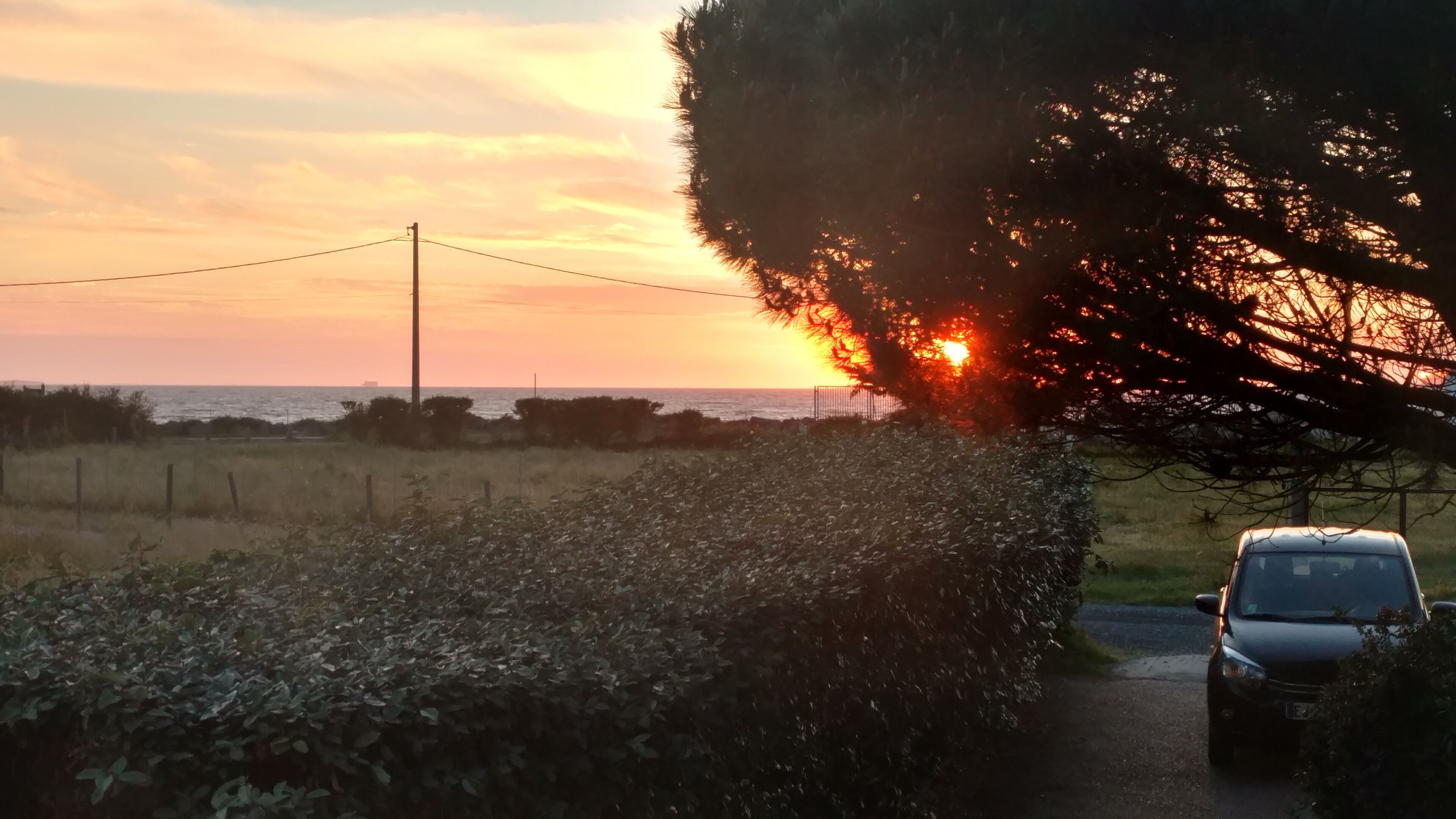 Une route côtière bordée d’une voiture garée, d’une haie et d’un arbre dont les branches laissent filtrer la lumière du soleil.