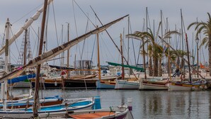Ein Yachthafen mit verschiedenen vor Anker liegenden Booten.