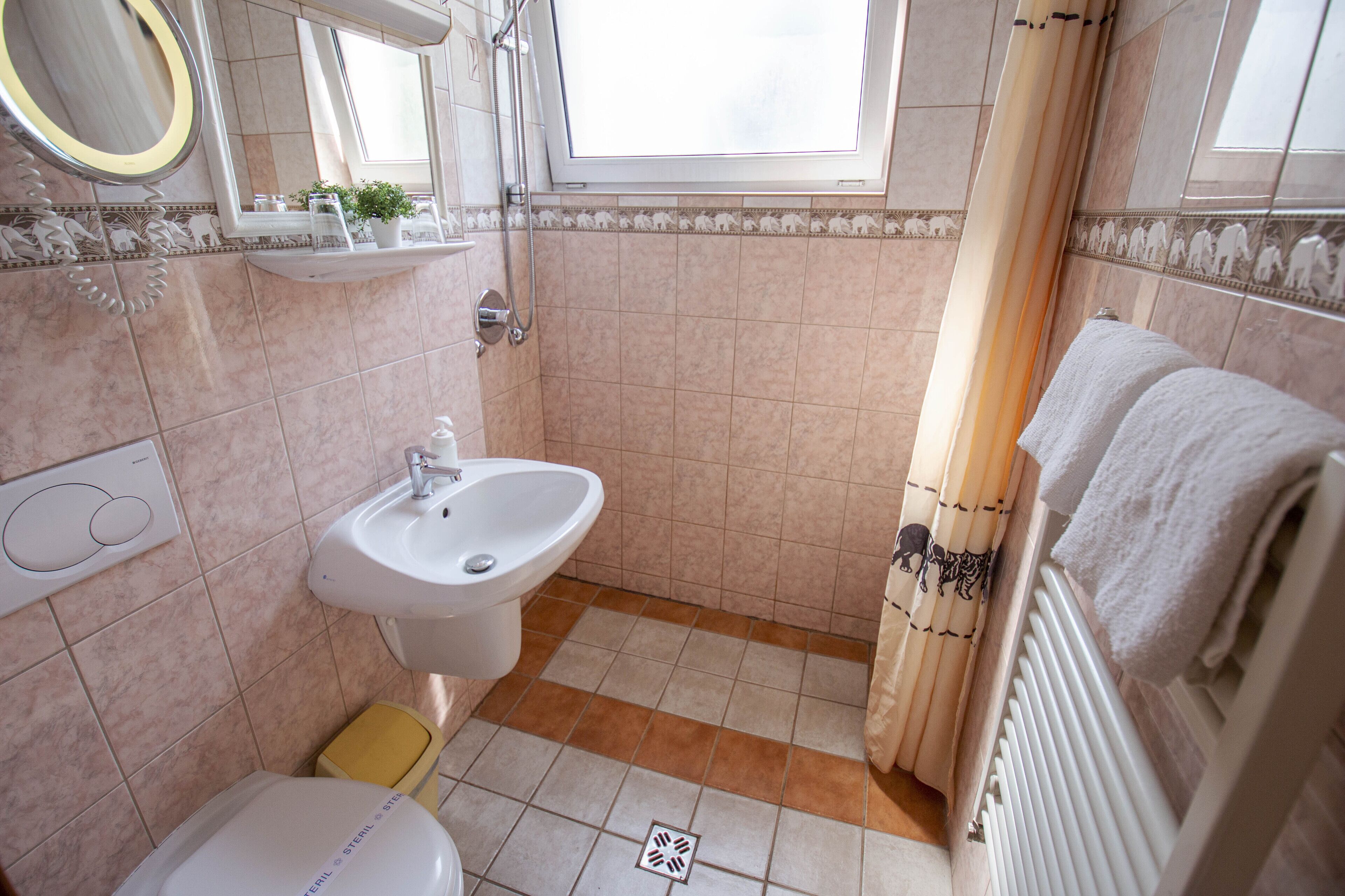 Foto - Richter Pansion