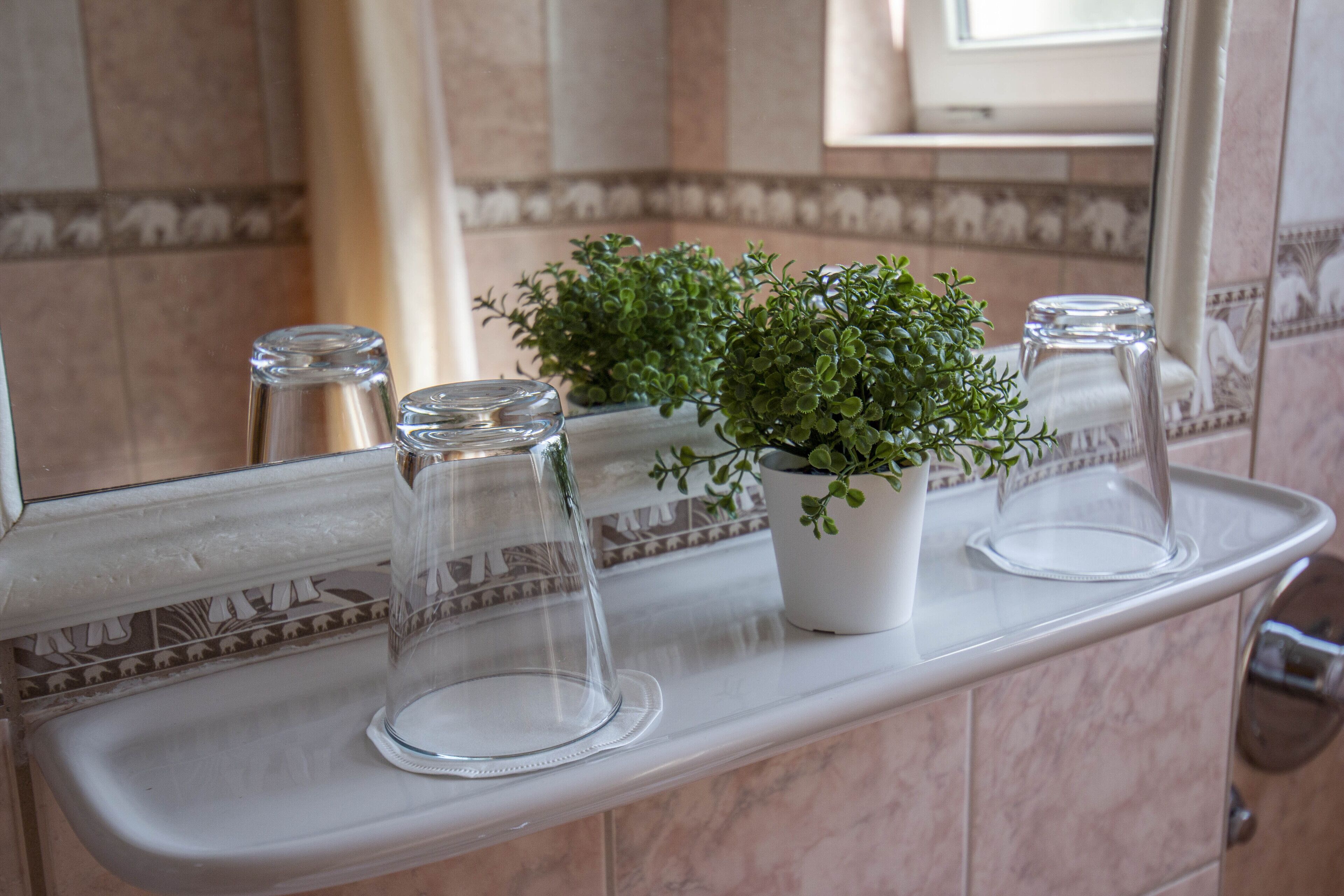 Foto - Richter Pansion