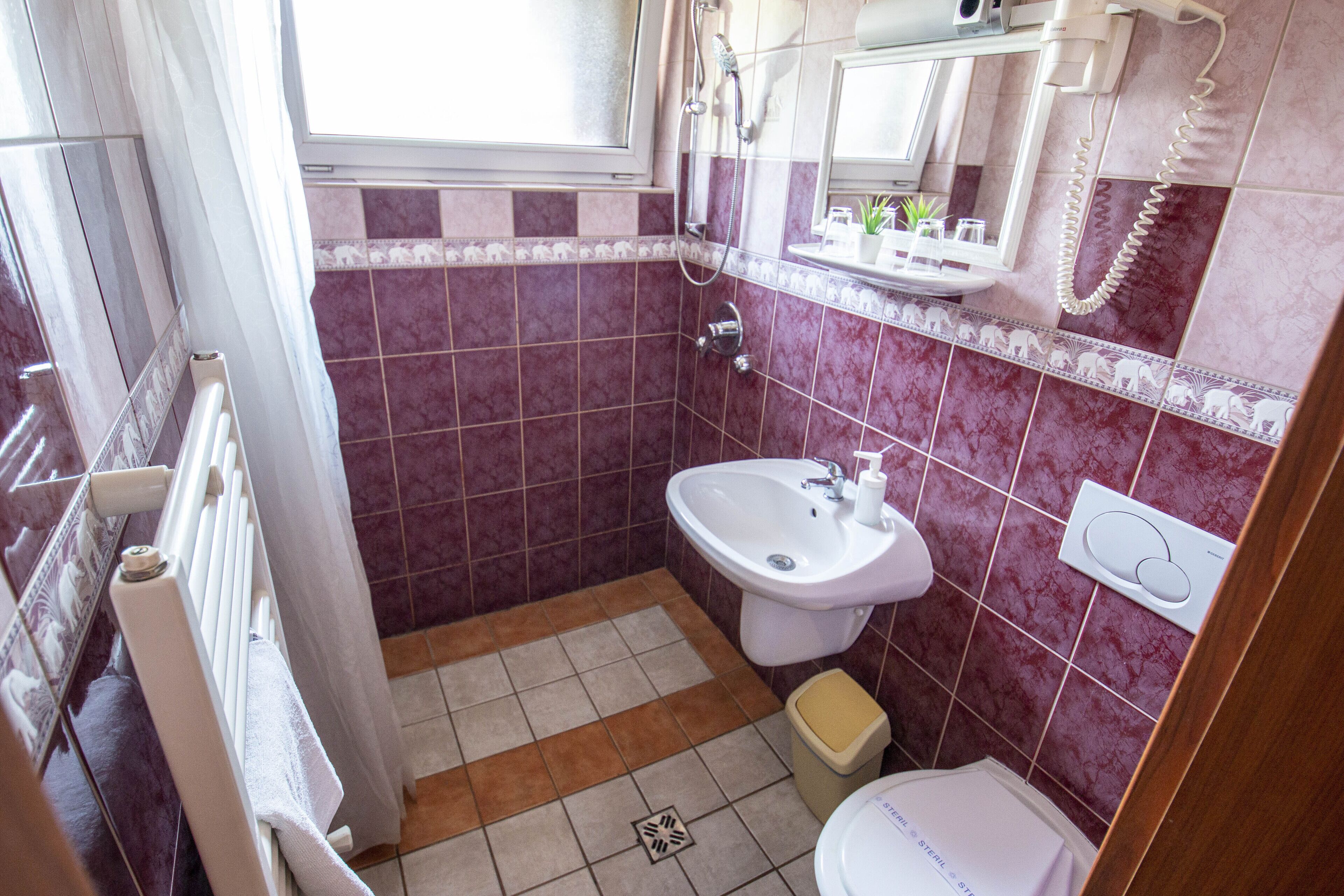 Foto - Richter Pansion