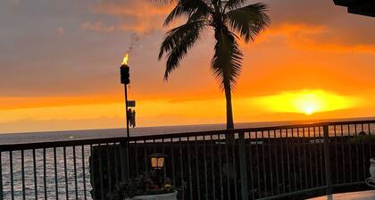 Oceanfront, 5 étoiles, maison 3 BR / 3 BA, magnifique lanaii et jacuzzi (8 personnes)