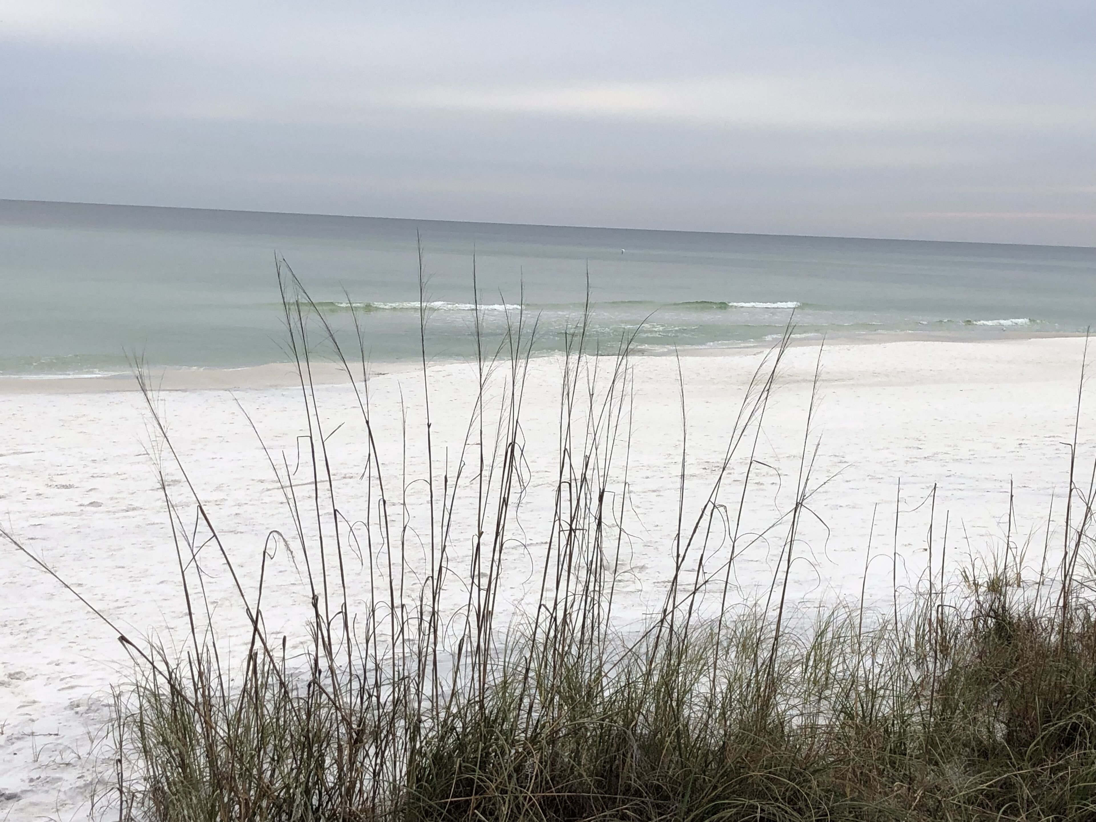 Une plage de sable avec une végétation clairsemée.