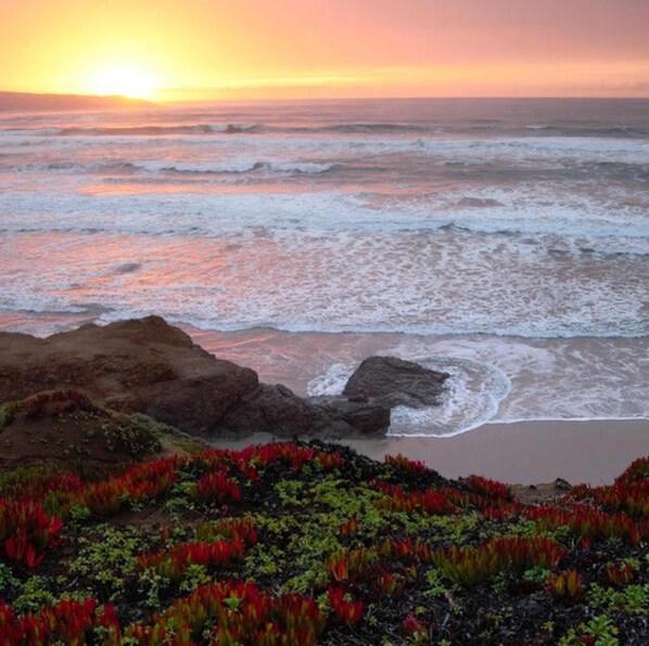 Playa en los alrededores, camastros y toallas de playa 